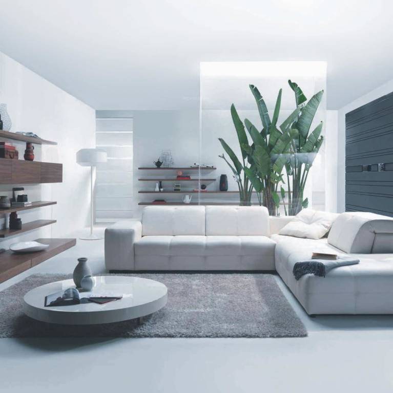 Images for Main Other of Bagad Blue Bells