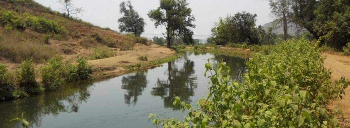 Images for Amenities of Sankalp Gold Crest Plot