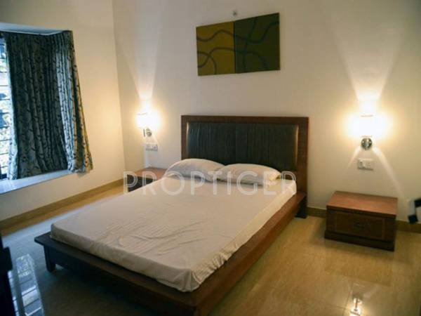 Images for Main Other of Milroc Kadamba