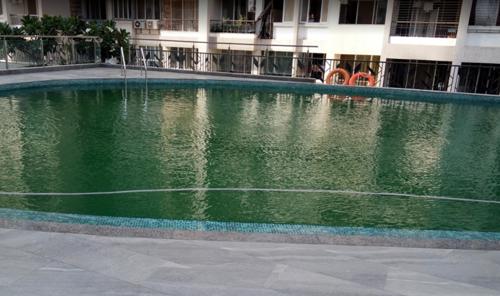 Swimming Pool nisarg-greens- Swimming Pool