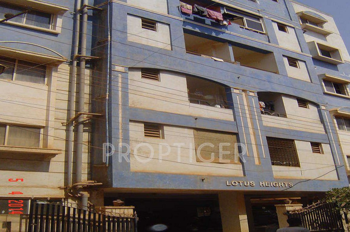  lotus heights Elevation