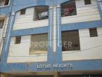 Lotus Heights