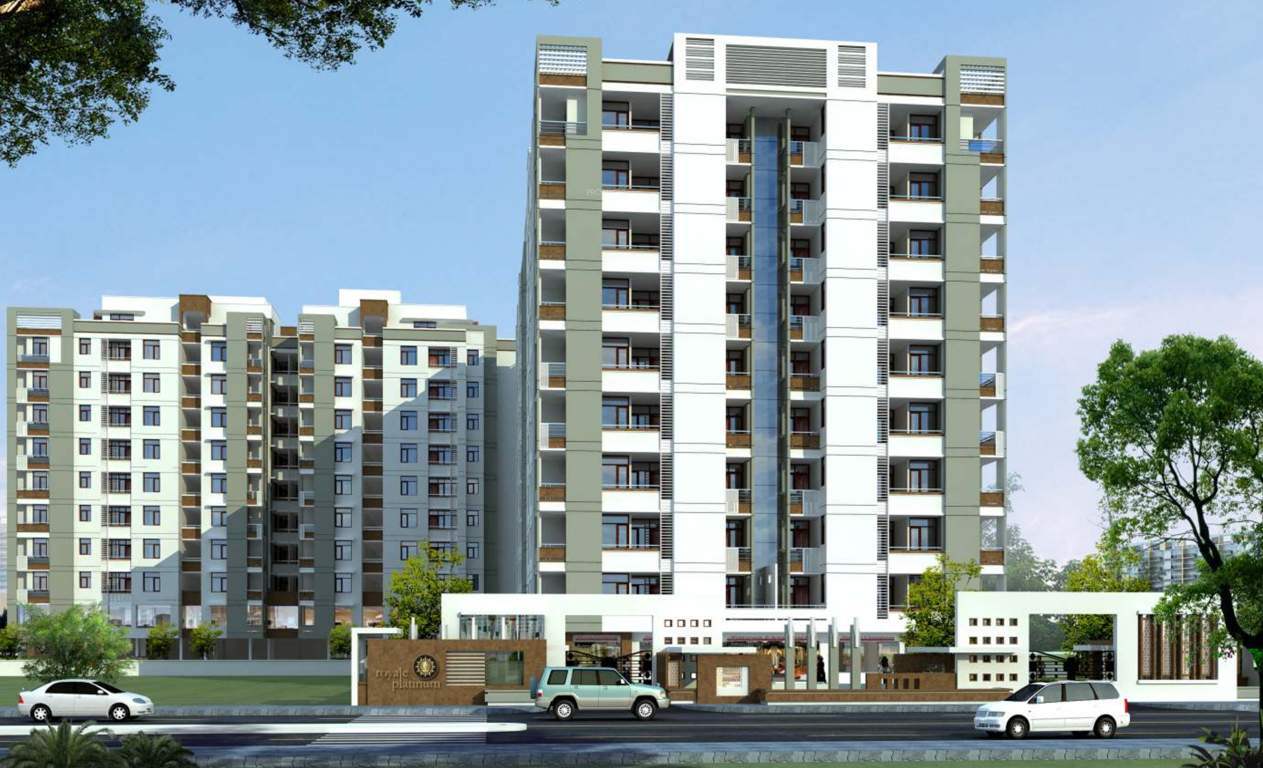  royale platinum Elevation