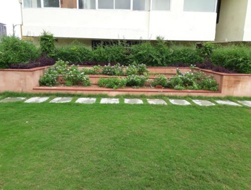  royale-platinum Landscape Garden and Tree Planting