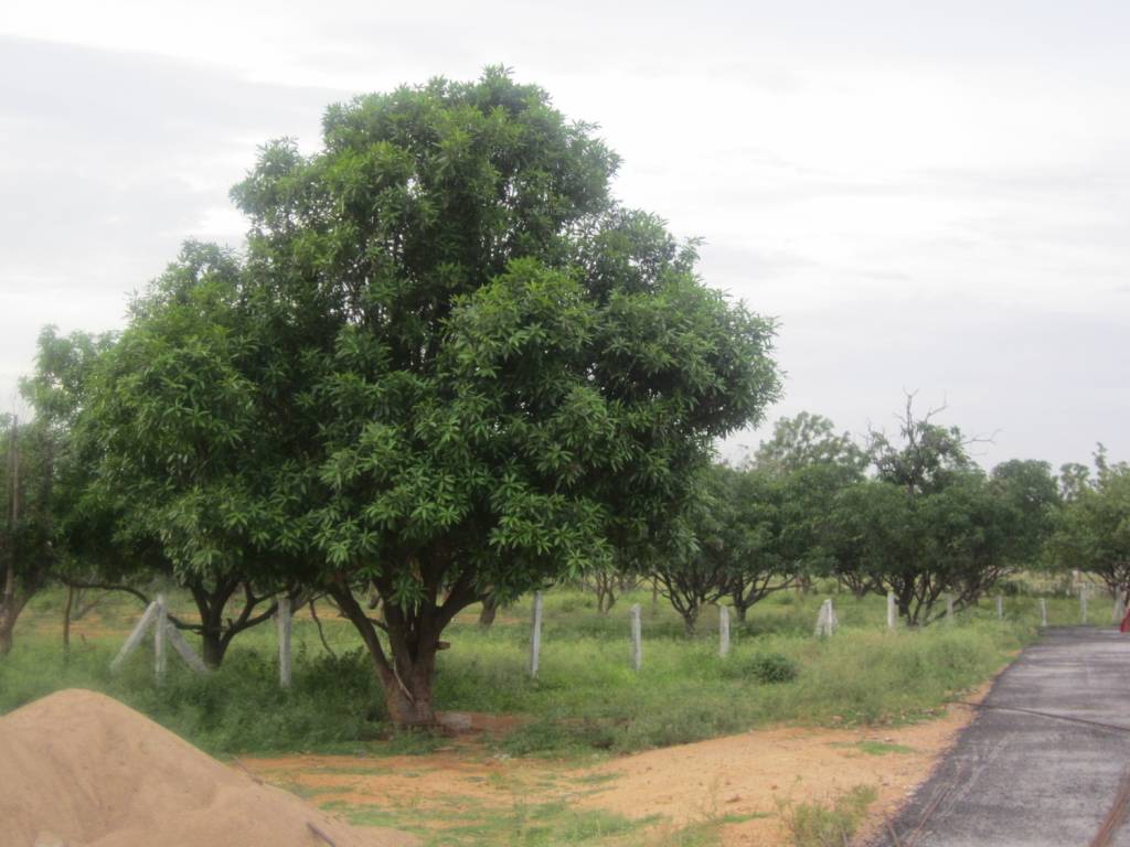 Images for Main Other of Indo Techno Town