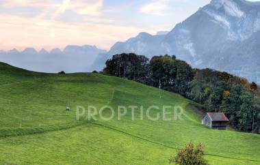 Images for Elevation of NSR Green Woods