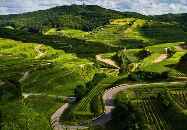 Images for Amenities of NSR Green Woods