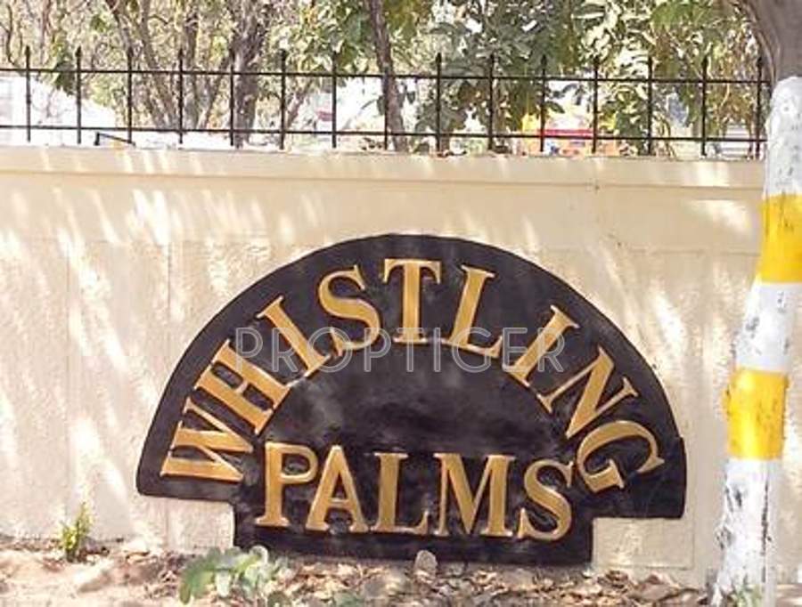  whistling palms Images for Elevation of Prestige Whistling Palms
