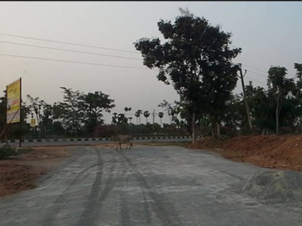 Images for Amenities of Kranthi Venkata Sai Gardens