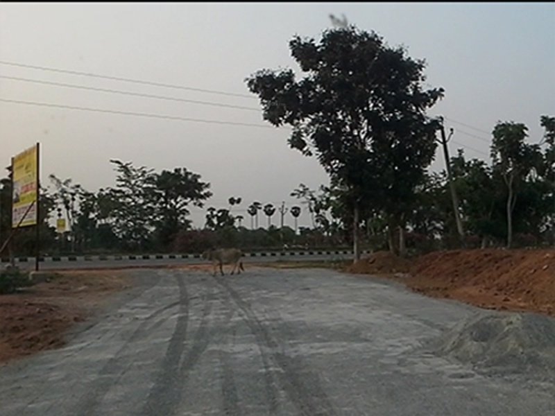 Images for Amenities of Kranthi Venkata Sai Gardens