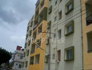 Project Image Project Image