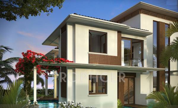 Images for Elevation of Vianaar Magia Ceu