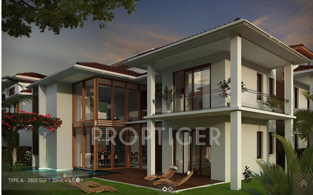 Images for Elevation of Vianaar Magia Ceu