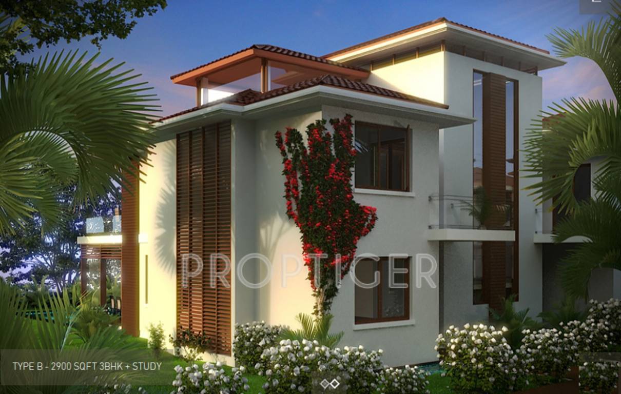 Images for Elevation of Vianaar Magia Ceu