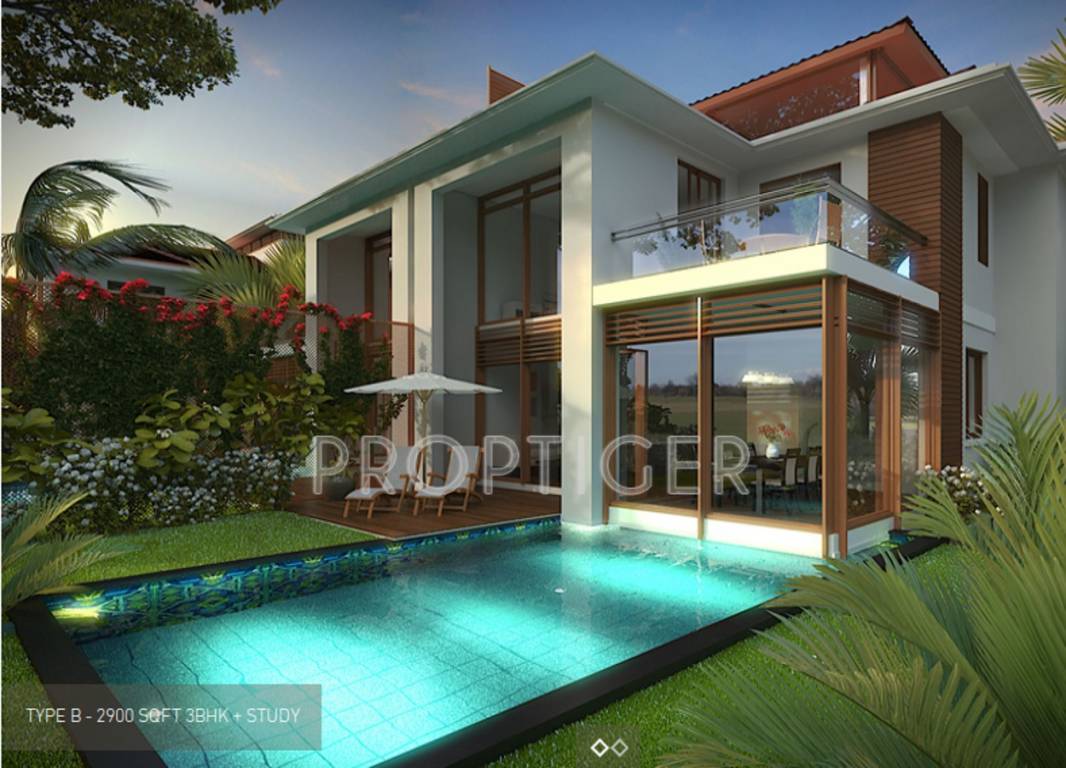 Images for Elevation of Vianaar Magia Ceu