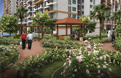  maple-woods Landscape Garden and Tree Planting