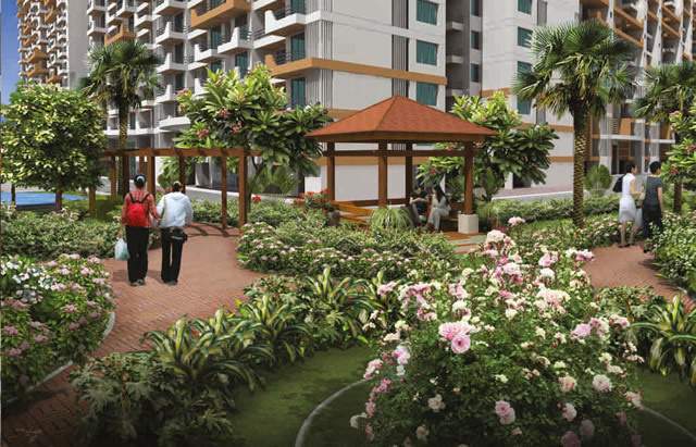 maple woods Landscape Garden and Tree Planting