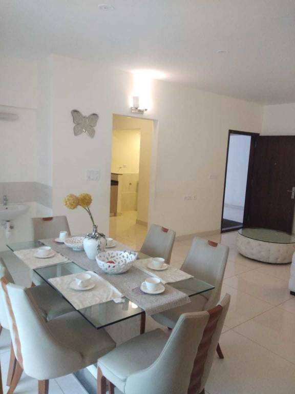 Images for mainOther