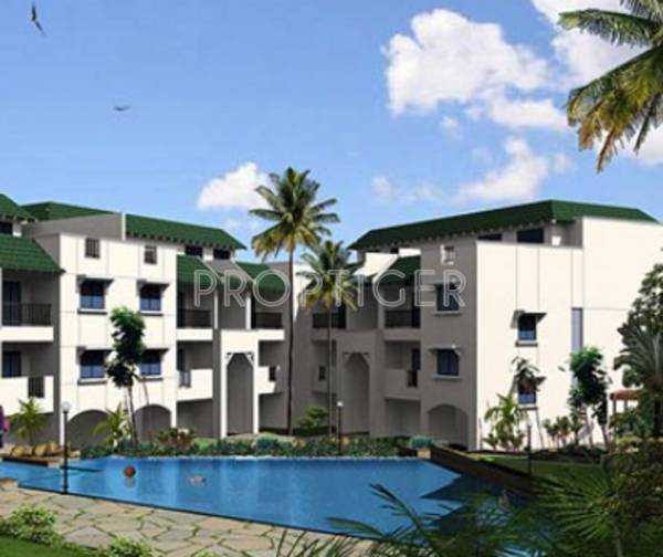 Images for Elevation of Skyline Ambrosia