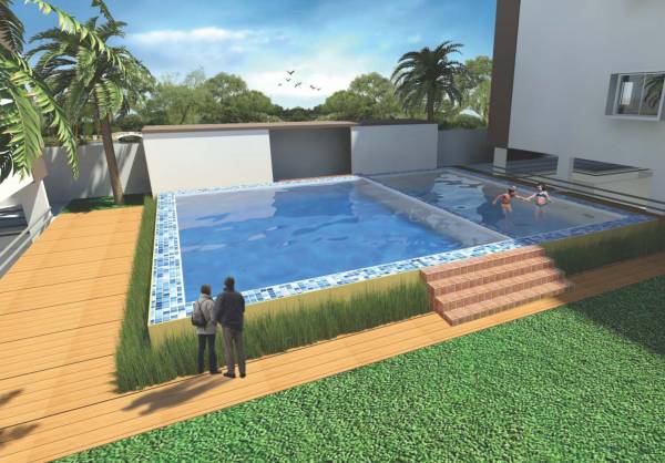 Swimming Pool verity Swimming Pool