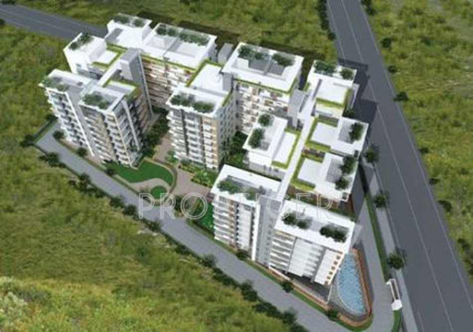 Images for Main Other of Jewel