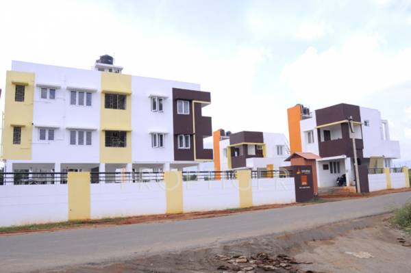 Images for Elevation of Advaitaa Orange Blossom