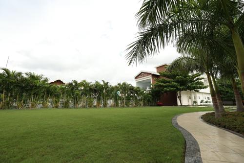  english-villas Landscape Garden and Tree Planting