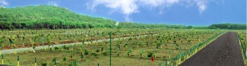 Images for Main Other of Parjay Greenrich Village Images for Main Other of Parjay Greenrich Village