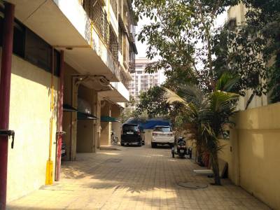  exotica Paved Compound