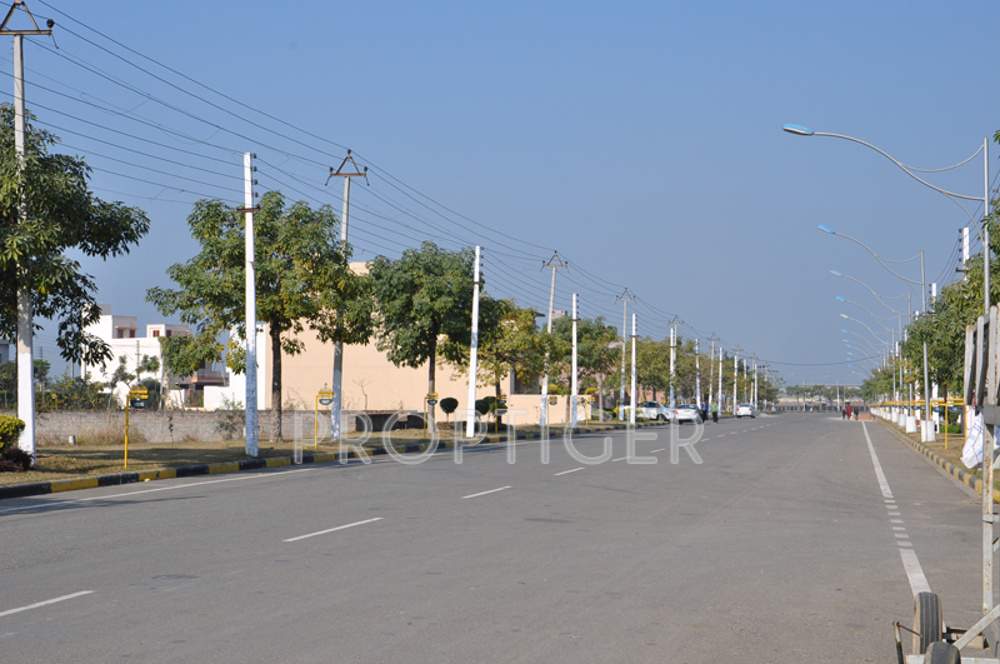 amgeco palm city Main Other