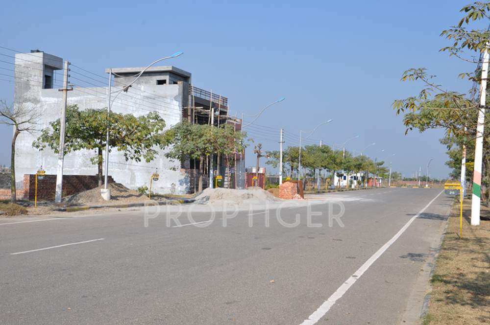 amgeco palm city Main Other