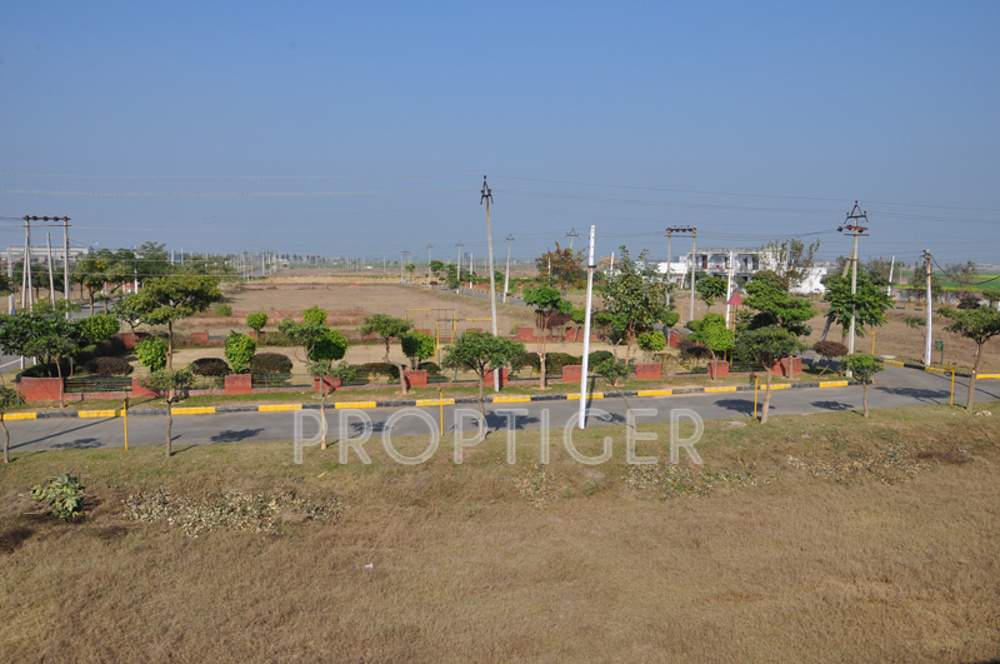 amgeco palm city Main Other