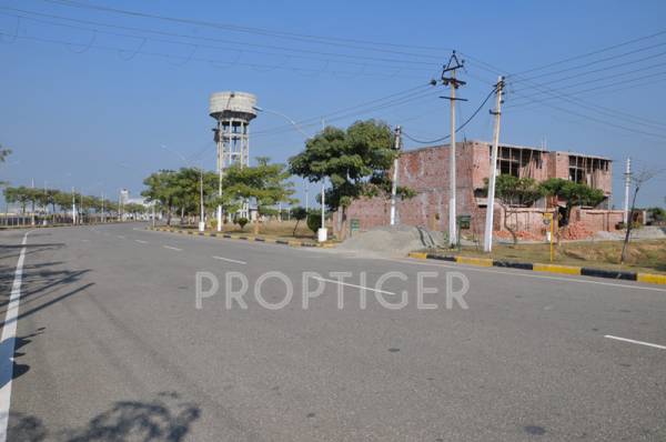 Main Other amgeco palm-city Main Other