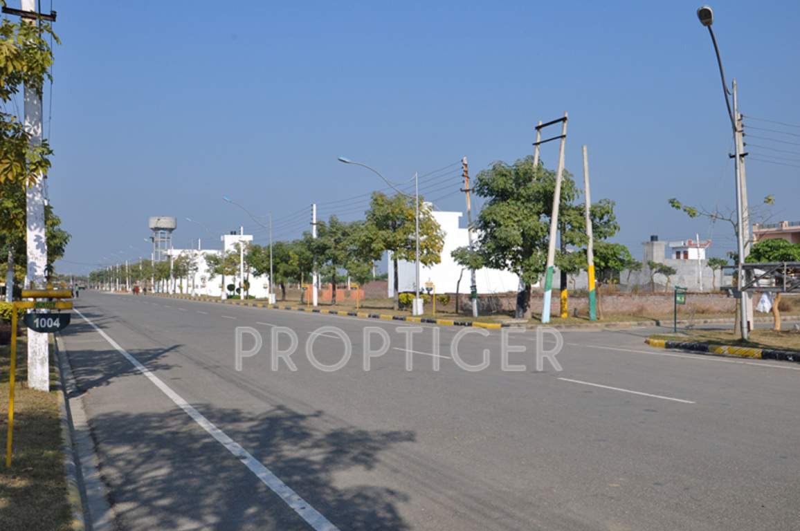 amgeco palm city Main Other