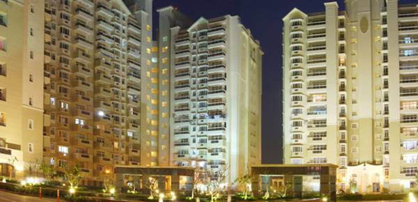  upvan Images for Project