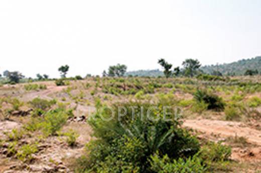 Images for Elevation of Expat Crest