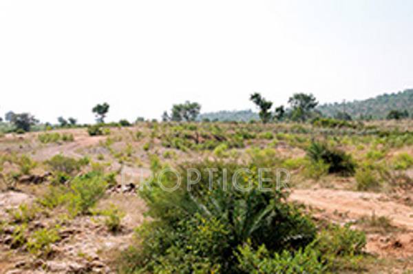 Images for Elevation of Expat Crest