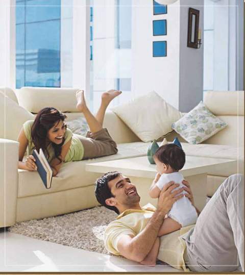  shree ram van Living Area