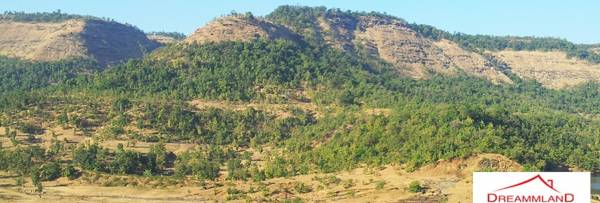 Images for Elevation of Indo Asian Buildcon Dreammland