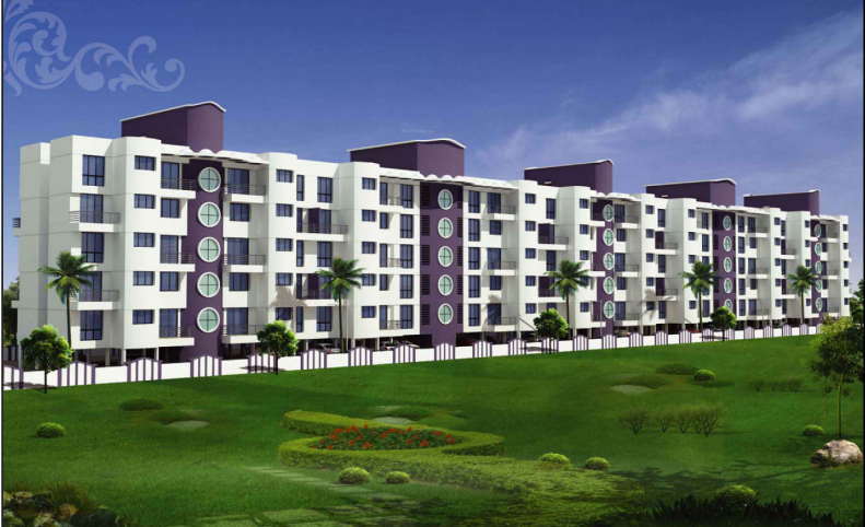  tara mon desire Elevation