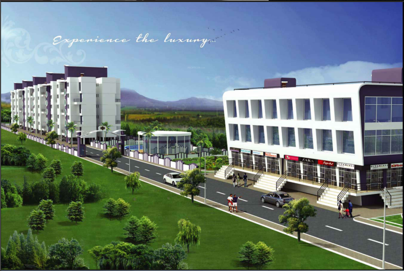  tara mon desire Elevation