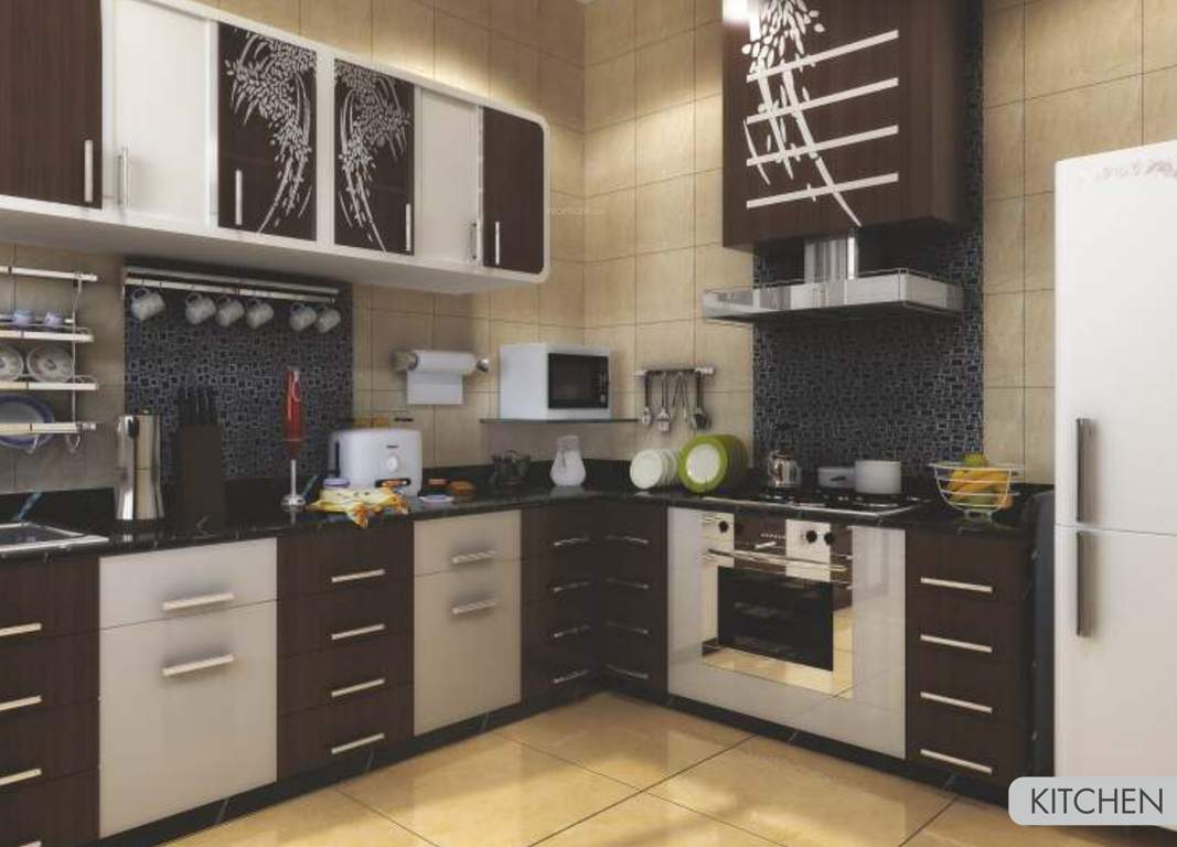  alcinia Images for Main Other of Vertical Alcinia