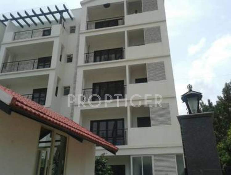  white water Images for Elevation of Mithuna White Water