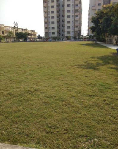 Landscaped Gardens garden- Landscaped Gardens