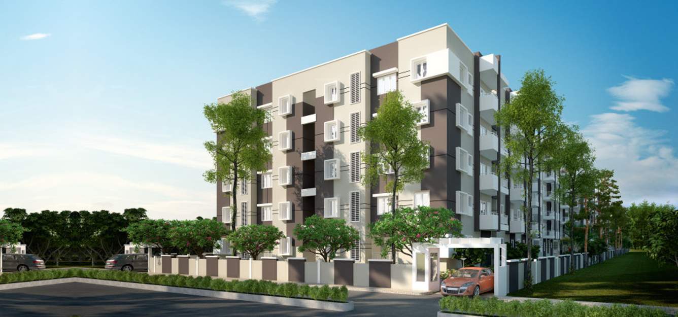  orchid Images for Elevation of Jana Orchid