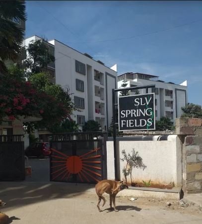  spring fields Elevation