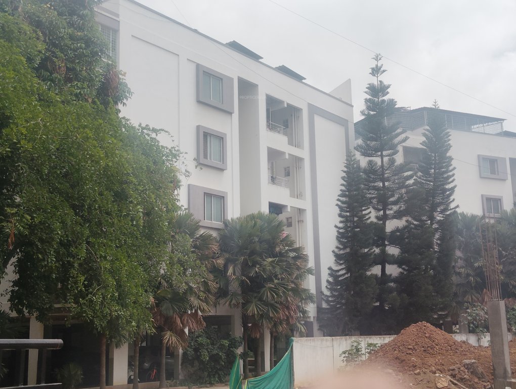  spring fields Elevation