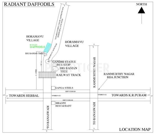  daffodils Images for Location Plan of Radiant Daffodils