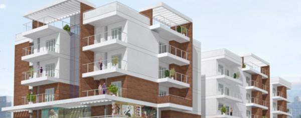 Images for Elevation of Greater May Flower Images for Elevation of Greater May Flower