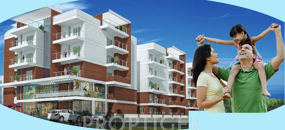 Images for Elevation of Greater May Flower